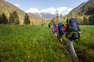 Young people are hiking in highlands of Altai mountains, Russia