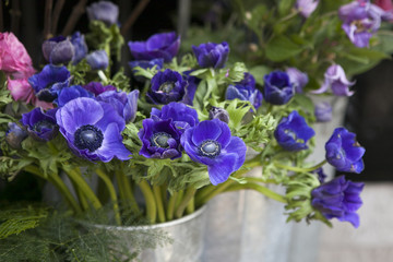 Red and blue spring flower arrangement: anemones, ranoncullus and