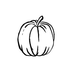 Vector illustration Outline hand drawn sketch of pumpkin