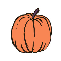 Vector illustration Outline hand drawn sketch of pumpkin