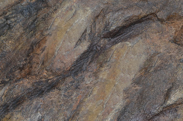 old spotty stained concrete wall texture background. color brown, gray