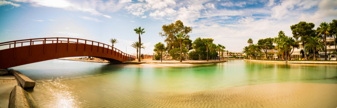 palm and  bridge in tropical river