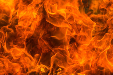 Fototapeta premium Flames of fire on a black background