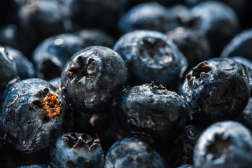Blueberries closeup with water drops