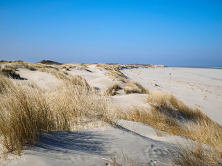 Strand, Dünen mit Dünengras und blauer Himmel