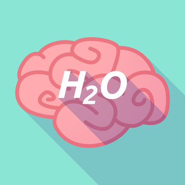 Long shadow pink brain icon with    the text H2O