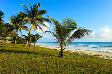 Fototapeta premium Picturesque coast Diani