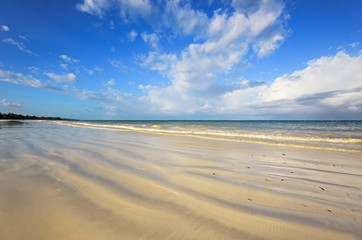 Picturesque coast Diani