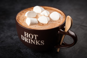 Fototapeta na wymiar Cup of hot chocolate