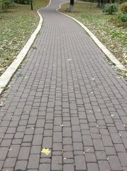 Obraz premium camino