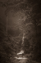 Cascade des Pyrénées sépia