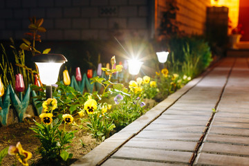 Night View Viola Flowerbed Illuminated Energy-Saving Solar Power