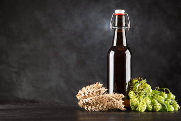 Beer bottle on dark background