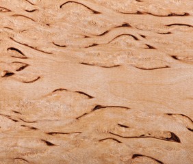 Background of birch wood, texture birch wood.