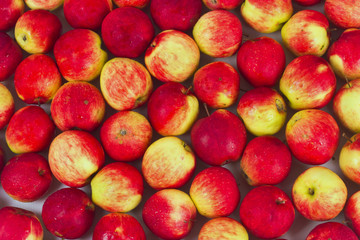 red apples arranged in one plane for background