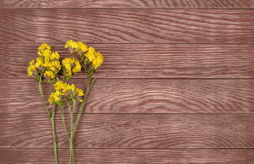 yellow dry wildflower on a wooden background