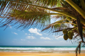 beautiful landscape with ocean beach in waves, blue cloudy sky a