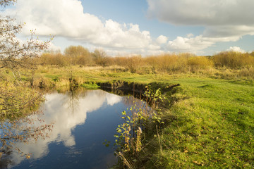 Autumn landscape with river