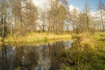 Autumn landscape with river