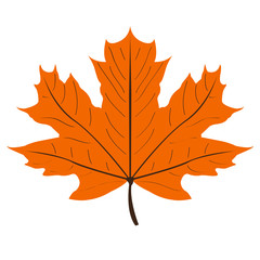 Happy thanksgiving day