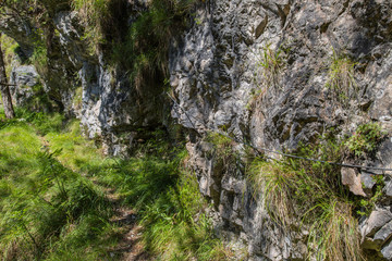 Gebirgswanderpfad am Abhang, Höhenweg im Tal Valle di Piero; Dolomiten, Sommer 
