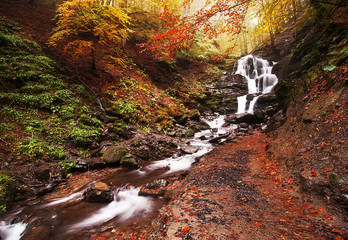 autumn landscape. colorful trees and beautiful waterfall in deep  gold forest