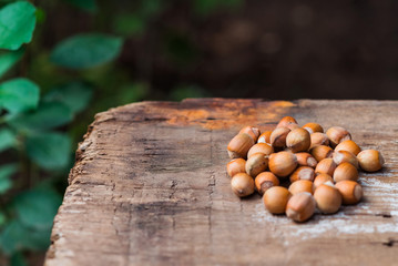 handful of hazelnuts on a vintage wooden background