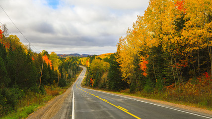 Fototapeta premium Driving into the Season