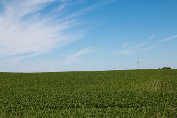 Blue Sky Wind Turbine