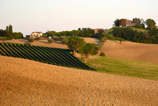 Romagna