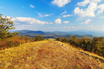 Mountain top with trees and gorgeous view