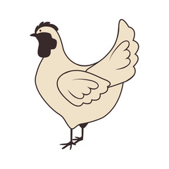 Chicken icon. Animal farm and nature theme. Isolated design. Vector illustration
