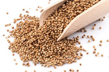 Coriander seeds in wooden scoop