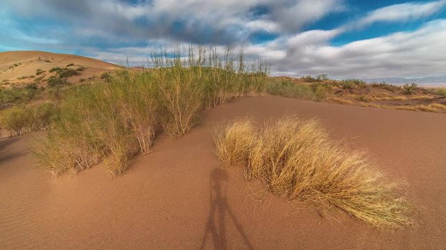 Sand dune and saxaul in the national park Altyn Emel. 4K TimeLapse - September 2016, Almaty and Astana, Kazakhstan