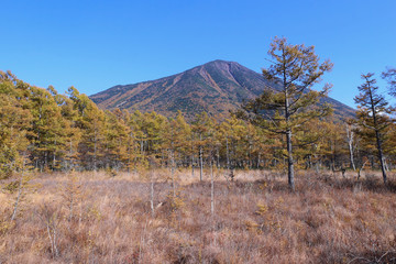 奥日光　戦場ヶ原と男体山