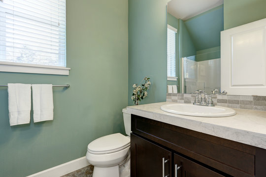 Mint green half bathroom interior