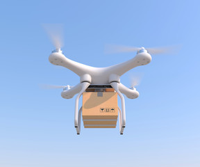 Drone quadcopter carrying cargo