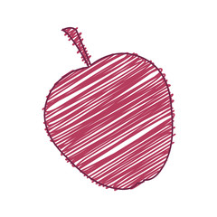 apple fruit healthy food over white background. draw design. vector illustration