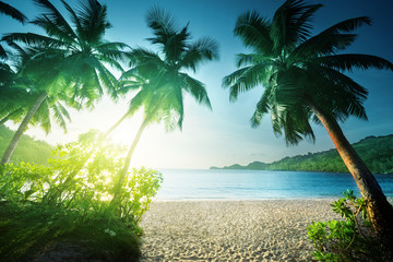 Fototapeta na wymiar sunset on Seychelles beach