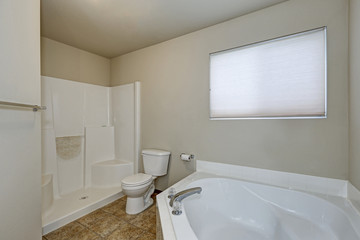 White bathroom interior with corner bathtub and shower .