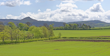 Fototapeta na wymiar North Yorkshire, England pastoral scene with the famous hill, Roseberry Topping and the Cleveland Hills in the background