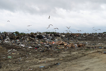 Waste