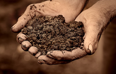 Elderly man holding soil in hands