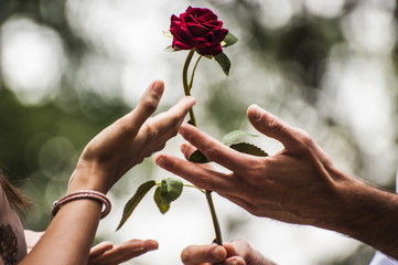 Omaggio d'amore