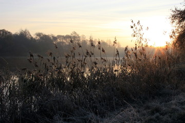 наступила осень
