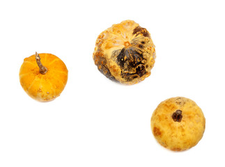 Three small decorative pumpkin