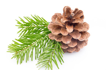 Fototapeta premium Christmas decoration on the pine cone.