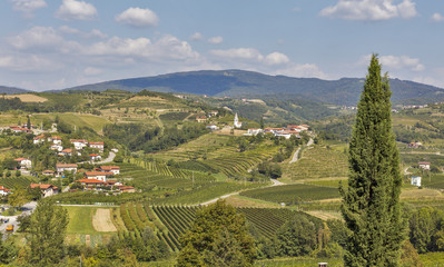 Dobrovo landscape in Slovenia.