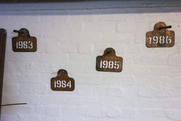 Year stencils om wall