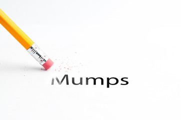 Closeup of pencil eraser and black mumps text. Mumps epidemic. Pig. Pencil with eraser.
